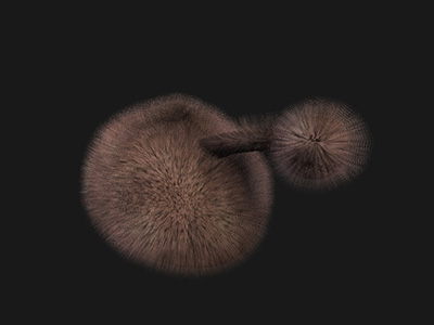 Tribble