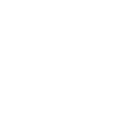 More information about "Console font Terminus"