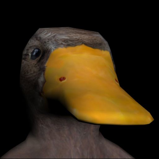 More information about "Duck"