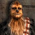 More information about "Wookiee"
