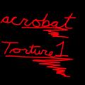More information about "acrobat_torture1"