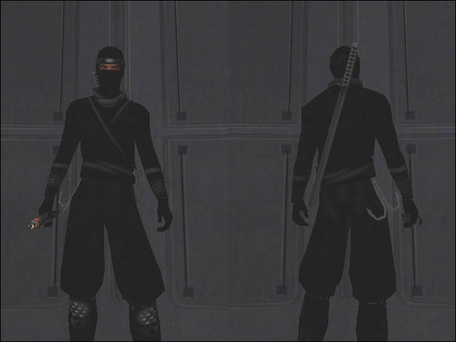 More information about "Ninja: Assassins of the Night"