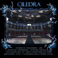 More information about "Ciledra"
